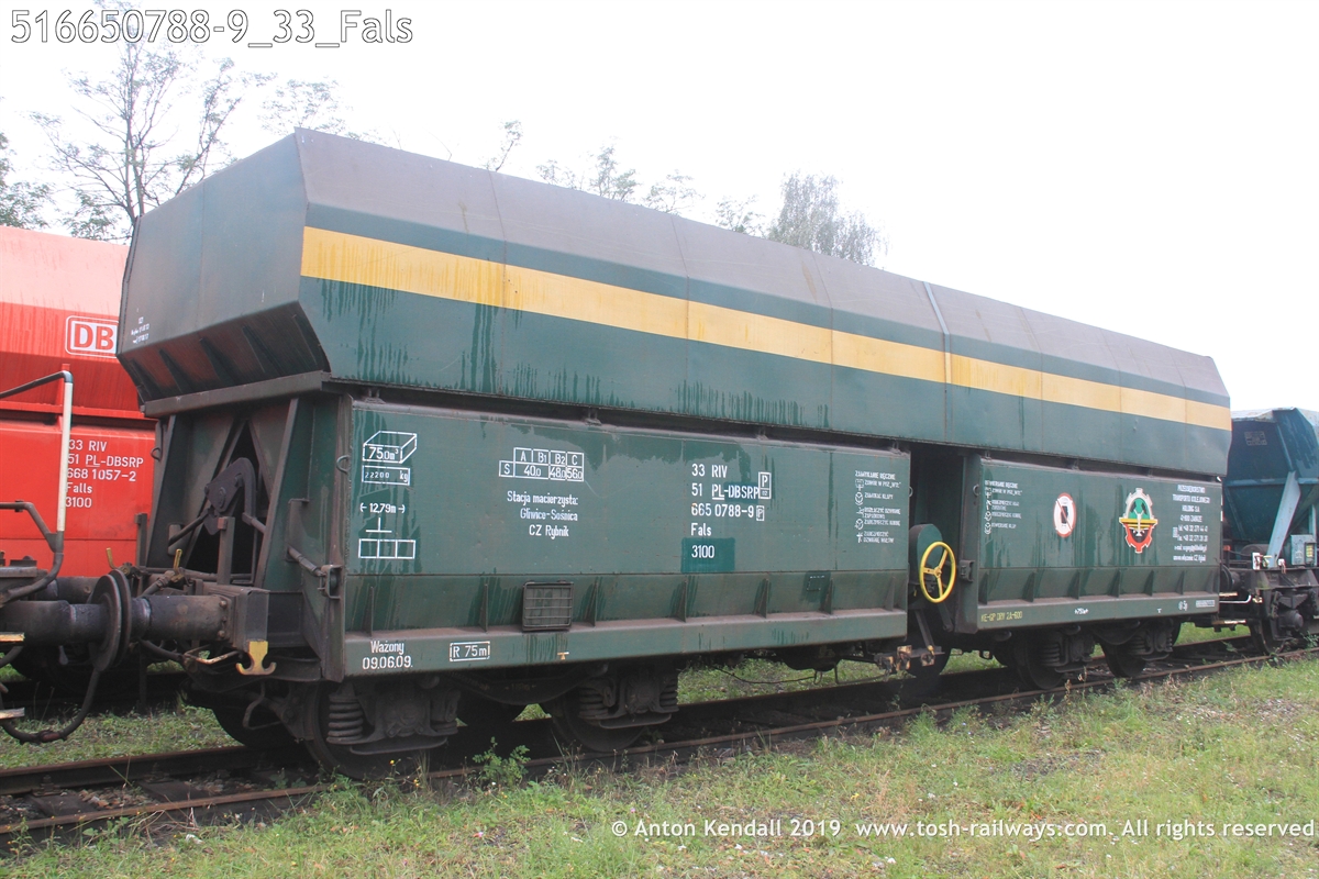516650788-9_33_Fals.JPG